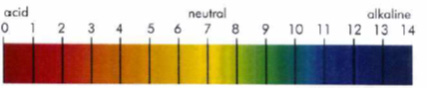 PM Instrumentation